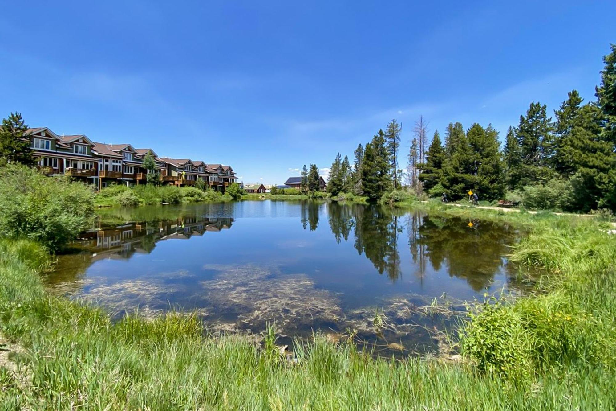 Hi Country Haus Getaway Apartment Уинтър Парк Стая снимка